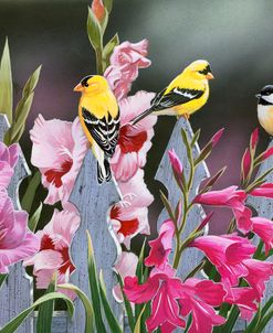 Feathered Friends and Gladiolus