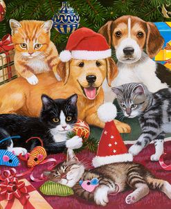 Christmas Meeting – Kittens and Puppies