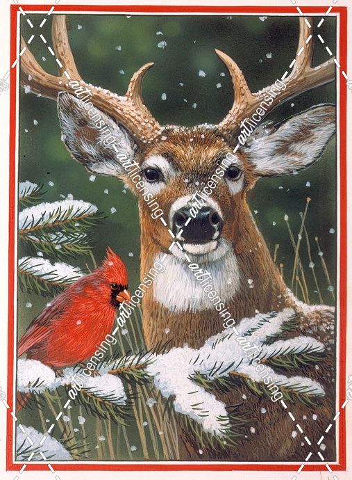 Deer With Cardinal