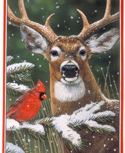 Deer With Cardinal