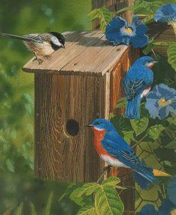 Birds At The Feeder (Bluebirds)