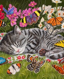 Blanket of Butterflies
