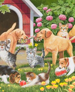 Puppies and Kittens – Spring and Summer Theme