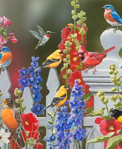 Birds – Spring-Summer Theme