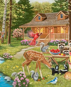 Summer Treats for Forest Friends