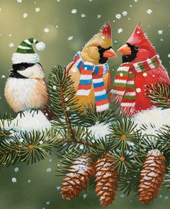 Festive birds on a Snowy Branch