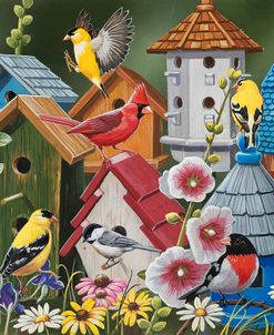 The Neighborhood – Birds and Birdhouses
