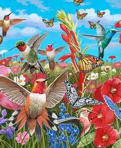 Hummingbird Garden