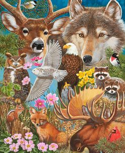 Woodland Fauna Montage