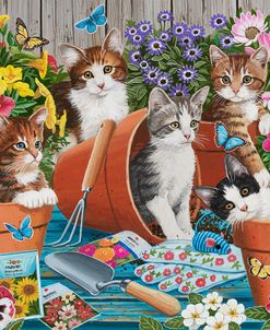 Gardener’s Little Kitten Helpers
