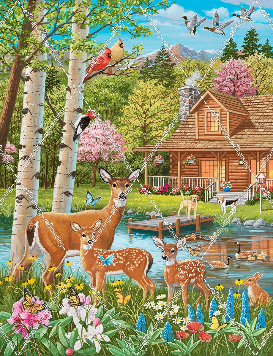 A Glorious Spring Day At The Cabin
