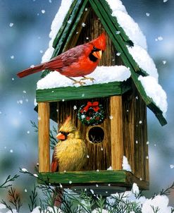 Cardinals And Birdhouse In Snow