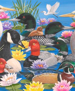 Pond Loving Birds