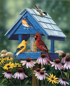 Birdhouse/Birds/Coneflower