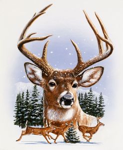Whitetail Deer Montage/ Winter