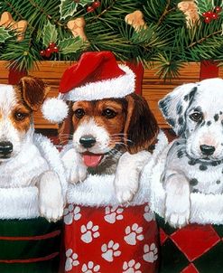 Christmas Puppies