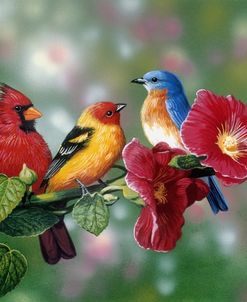 Songbirds On Hollyhock