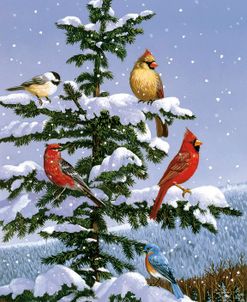 Songbirds On A Limb