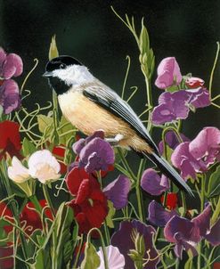 Sweet Peas And Chickadee