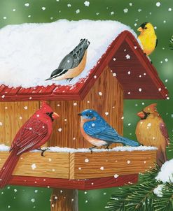 Backyard Birds, Holiday Treats