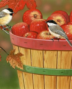 Apples In Basket With Chickadees