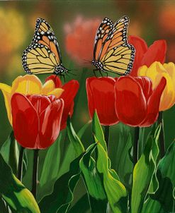 Monarchs And Tulips