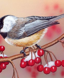 Chickadee With Berries