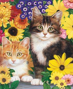 Kitties And Flowers