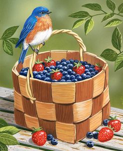 Blueberry Basket