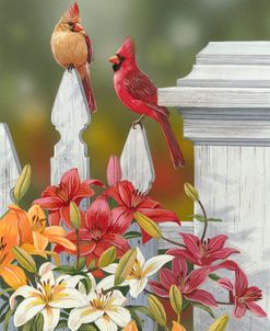 Lilies And Cardinals