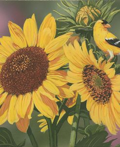 Goldfinch And Sunflowers