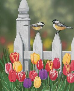 Chickadees And Tulips