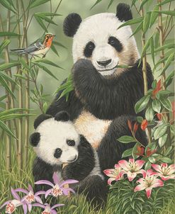 Panda Paradise