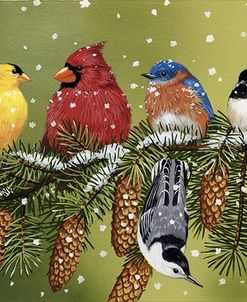 Snowy Feathered Friends