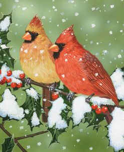 Wintery Cardinals