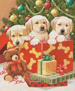 Holiday Puppies
