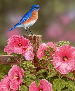 Bluebird With Hibiscus