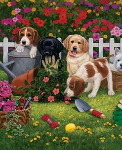 Garden Puppies
