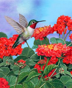 Hummingbird And Flower 2