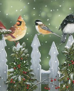 Winter Birds on a Snowy Fence