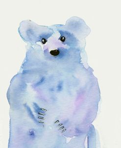 Blue Bear