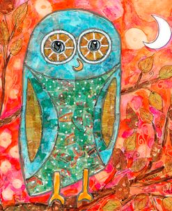 Funky Little Owl