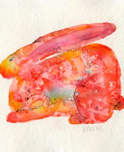 Red Rabbit