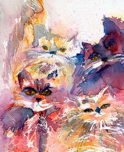 Four Kitties