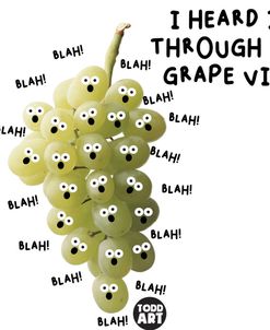 Food Attitude – Heard Grape Vine