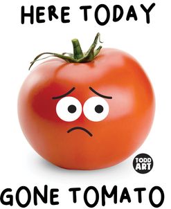Food Attitude – Here Today Gone Tomato