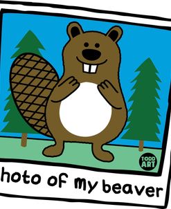 Photo Of My Beaver