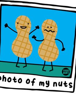 Photo Of My Nuts