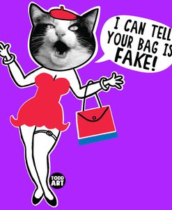 Bag Is Fake Cat