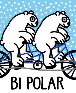 Bi Polar Bears